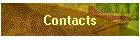 Contacts