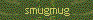 smugmug