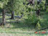 DSC01079.JPG (215163 bytes)