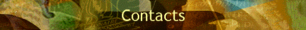Contacts