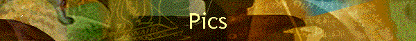 Pics