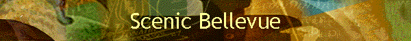 Scenic Bellevue