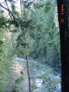 Dsc00243.jpg (74847 bytes)