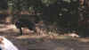 03240006 (2).jpg (12537 bytes)