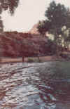 Scan155.jpg (43195 bytes)