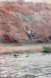 Scan156.jpg (37899 bytes)