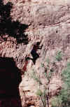 Scan161.jpg (58464 bytes)