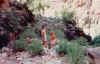 Scan165.jpg (55606 bytes)