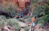 Scan169.jpg (52955 bytes)