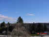 DSC00507.JPG (62138 bytes)